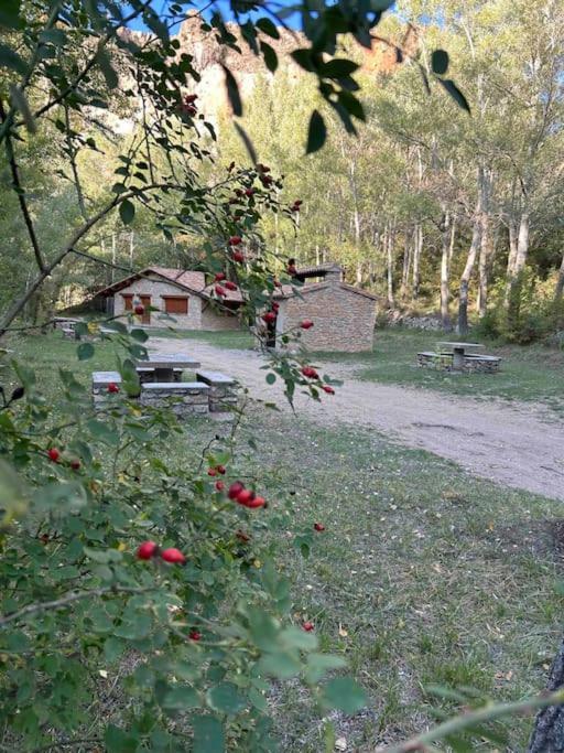 Vistas Del Maestrazgo Apartamentos Rurales Allepuz Екстериор снимка